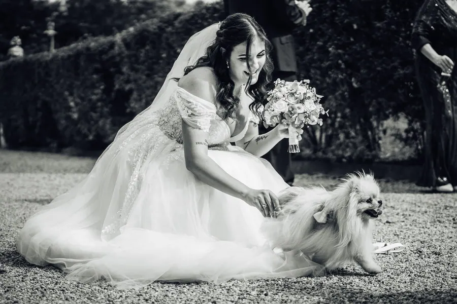 Hochzeitsfotografie Georgi Schloss: Vanessa & Konstantin, Sommer, Bild 9